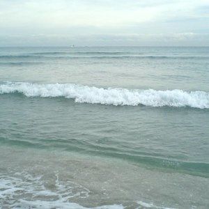 Meet your Posher, Remi